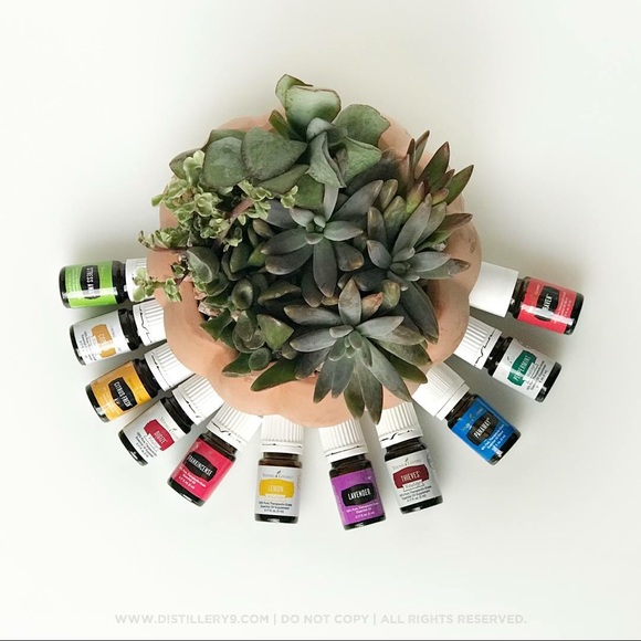 Meet your Posher, Karen - Picture 4 of 6